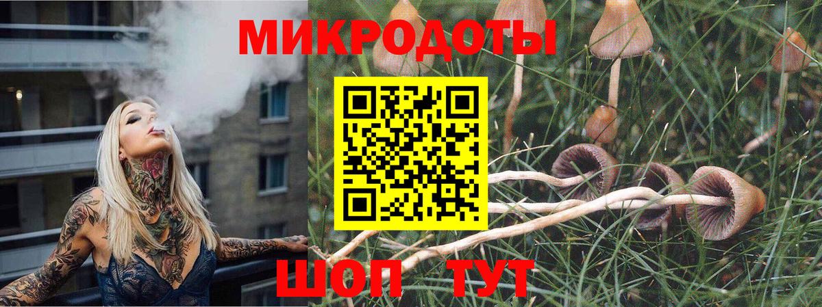 Псилоцибиновые грибы прущие грибы Сыктывкар