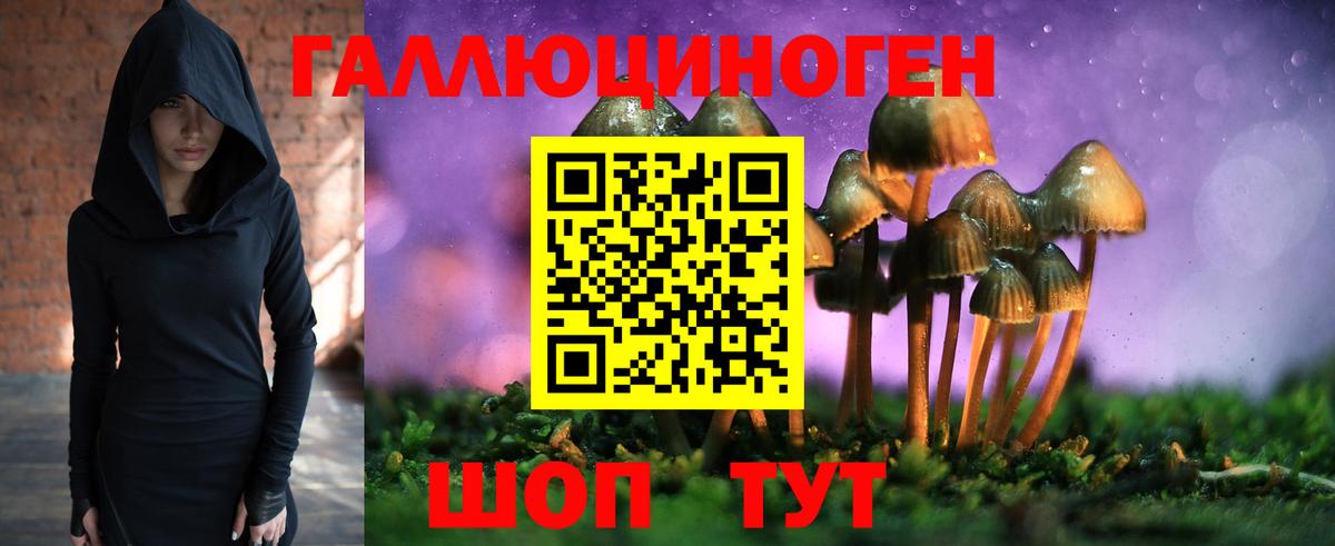 Галлюциногенные грибы Cubensis  Галлюциногенные грибы ЛСД  Сыктывкар  Вход с VPN 